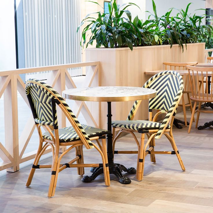 Sip and  Sit Cafe Furniture